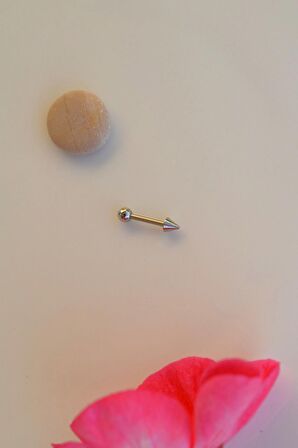 Gümüş Renk 316 L Çelik Piercing Helix Kıkırdak Lob, Conch, Dudak 8 mm