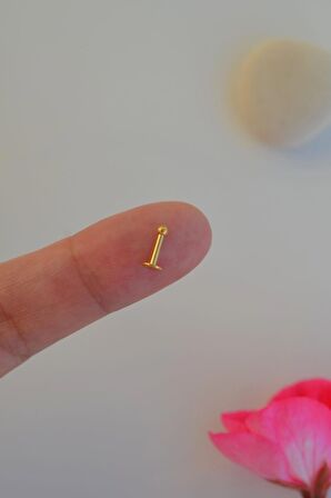 Gold 2 mm Küçük Toplu Çelik Piercing Tragus Helix Kıkırdak Lob Conch Burun Minimal Ürün