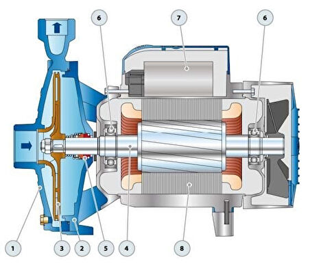 Pedrollo CP 250A TRF Tek Fanlı Santrifüj Pompa (Trifaze)