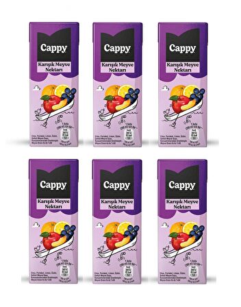 Cappy Bahçe Karışık Meyve Nektarı 200 Ml X 6 Adet