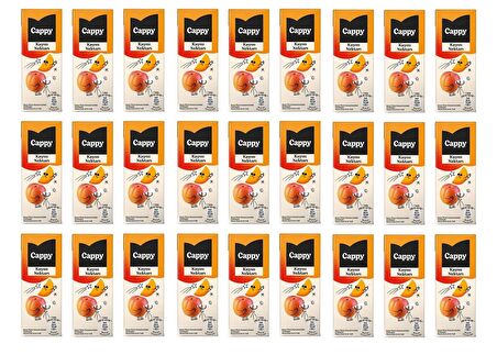 Cappy Bahçe Kayısı Nektarı 200 Ml X 27 Adet