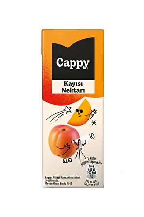 Cappy Bahçe Kayısı Nektarı 200 Ml X 27 Adet