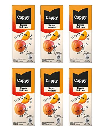 Cappy Bahçe Kayısı Nektarı 200 Ml X 6 Adet