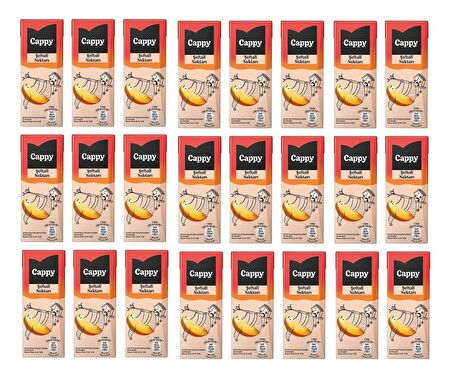 Cappy Bahçe Şeftali Nektarı 200 Ml X 24 Adet