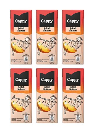 Cappy Bahçe Şeftali Nektarı 200 Ml X 6 Adet