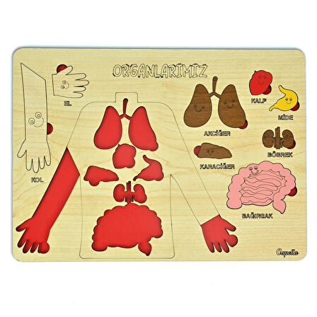 Ahşap Organlarımız Bultak Puzzle Eğitici Oyuncak