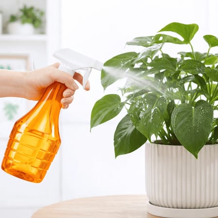 Çok Amaçlı Fısfıs Çiçek Sulama Şeffaf Su Sprey Şişesi 500 Ml