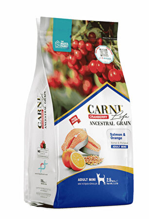 PETLOVEBUTİK CRANBERRY ANCESTRAL GRAIN KÖPEK SOMON & PORTAKAL 2.5KG YETİŞKİN MINI