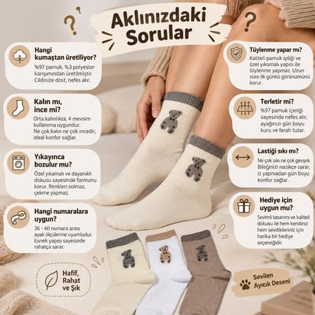 Wak Kadın 3'lü Ayıcık Desenli Soket Çorap Seti | Ekru Beyaz ve Bej Renkli Sevimli Günlük Çorap Modelleri