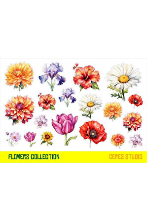 Çiçekler Sticker Set 2 Syf 42 Etiket Planlayıcı Bullet Journal Telefon için Uygundur.