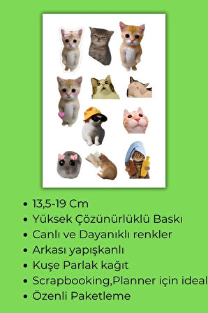 Komik Kediler 4' Lü Set, Sticker, Etiket, Ajanda, Günlük, Planlayıcı, Scrapbook,Laptop,Matara