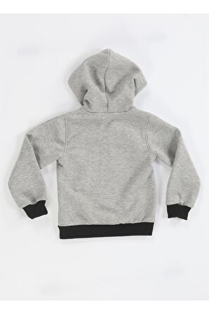 Timsah Fermuarlı Erkek Çocuk Sweat Mont