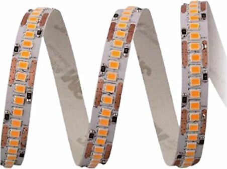 Cata 5 Metre 240 Çipli Gol Şerit Led Yüksek Lümen Gün Işığı