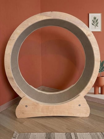 Kedi ve Küçük Irk Köpek Egzersiz Çarkı, Kedi Koşu Tekeri, Kedi Koşu Bandı, Çap 75cm