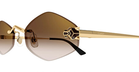 Cartier  CT0433S | 002