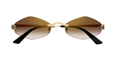 Cartier  CT0433S | 002