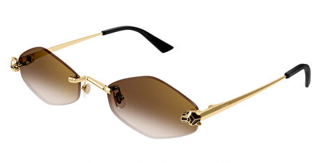 Cartier  CT0433S | 002