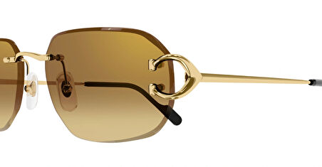 Cartier  CT0468S | 004