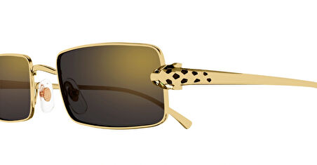 Cartier  CT0473S | 001