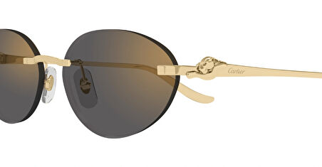 Cartier  CT0504S | 001