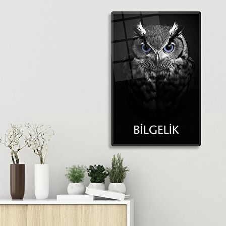 Cam Tablo | Motivasyon Serisi | Baykuş - Bilgelik | 40cm x 60cm