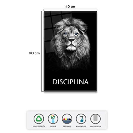 Cam Tablo | Motivasyon Serisi | Lion - Discipline | 40cm x 60cm