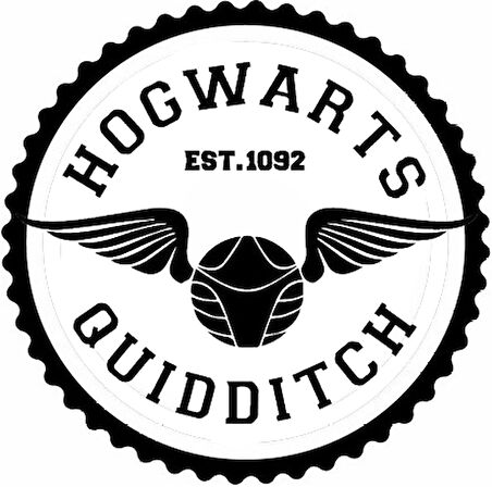 Hogwarts Quıddıtch Tasarım Sticker 20 x 20 cm