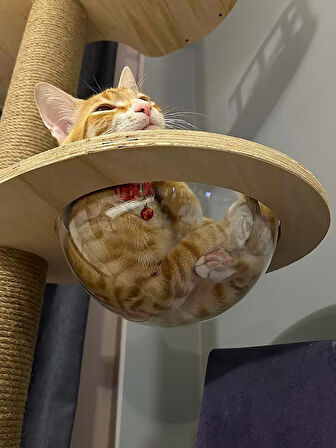 Kedi Kulesi, Kedi Oyun Kulesi, Kedi Tırmala Kulesi, Kedi Tırmalama Direği,Tavana Boyu Direk(demonte)