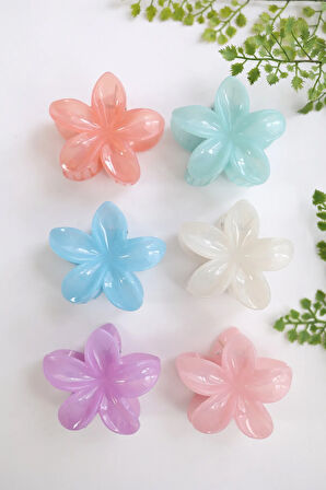 6 adet Lotus Saç Tokası Buzlu Renk -  6 cm Orta Boy - Hafif ve Dayanıklı