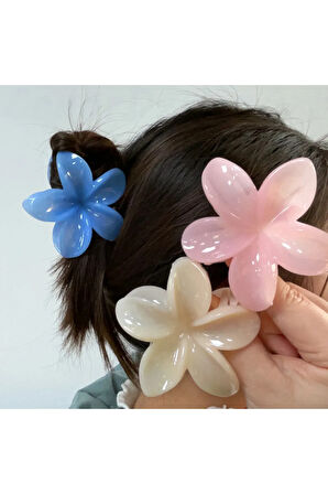 6 adet Lotus Saç Tokası Buzlu Renk -  6 cm Orta Boy - Hafif ve Dayanıklı