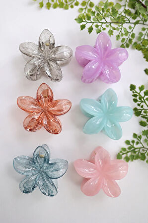 6 Adet Simli Ve Buzlu Lotus Kadın Toka Seti Büyük Boy 8 Cm