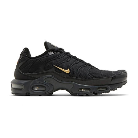 Nike Air Max Plus Black Gold