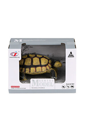 Erkek Çocuk Oyuncak Q9899-A60 Kaplumbağa Ailesi -Birliktoys Kız Çocuk Eğitici Oyuncaklar