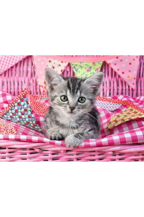 Erkek Çocuk Oyuncak 129850 Cute Kitty 100 parça XXL Ravensburger Puzzle Kız Çocuk Eğitici Oyuncaklar