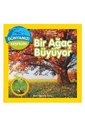 Erkek Çocuk Oyuncak Kids Bir Ağaç Büyüyor Kız Çocuk Eğitici Oyuncaklar