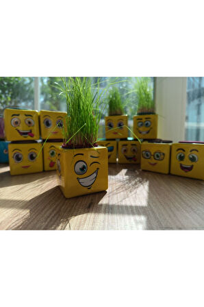 Çocuk Gelişim Oyuncaklar SARI KÜP ÇİMADAM 24Adet DOĞUM GÜNÜ ANA SINIFI ETKİNLİK Kız Erkek Çocuk Oyun