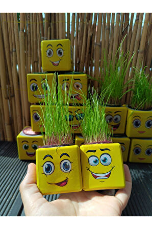 Çocuk Gelişim Oyuncaklar SARI KÜP ÇİMADAM 24Adet DOĞUM GÜNÜ ANA SINIFI ETKİNLİK Kız Erkek Çocuk Oyun