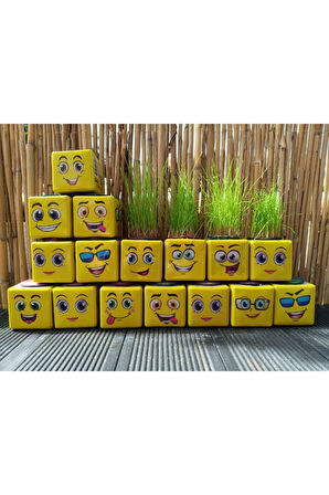 Çocuk Gelişim Oyuncaklar SARI KÜP ÇİMADAM 24Adet DOĞUM GÜNÜ ANA SINIFI ETKİNLİK Kız Erkek Çocuk Oyun