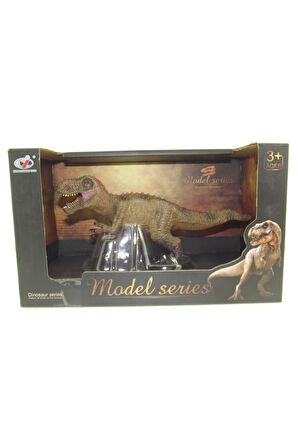 Erkek Çocuk Oyuncak Kutulu Model Dinozor T-Rex Kız Çocuk Eğitici Oyuncaklar