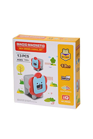 Erkek Çocuk Oyuncak Manyetik Aslan Blok Seti 13 Parça Kız Çocuk Eğitici Oyuncaklar