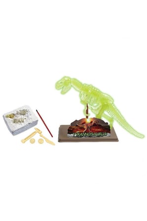 Erkek Çocuk Oyuncak Dinozor Kazma Kiti Tyrannosaurus İskeleti Kız Çocuk Eğitici Oyuncaklar