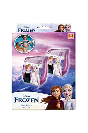Erkek Çocuk Oyuncak Frozen Şişme Kolluk Kız Çocuk Eğitici Oyuncaklar