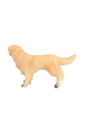 Erkek Çocuk Oyuncak Model Köpek Ten Rengi Golden Retriever Kız Çocuk Eğitici Oyuncaklar