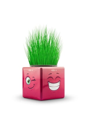 Çocuk Gelişim Oyuncaklar Yılbaşı Özel 20Adet Okul Etkinlik Küp Çim Adam Çimoji Çim Emoji Kız Erkek Ç