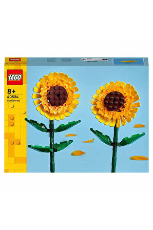 Erkek Çocuk Oyuncak Iconic Ayçiçeği 40524 Kız Çocuk Eğitici Oyuncaklar