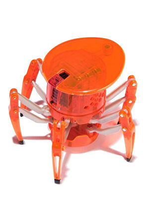 Erkek Çocuk Oyuncak HexBots Nano Örümcek Kız Çocuk Eğitici Oyuncaklar