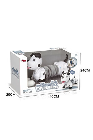 Erkek Çocuk Oyuncak GL-777-603 U/K IŞIKLI VE SESLİ SEVİMLİ ROBOT -VRD Kız Çocuk Eğitici Oyuncaklar