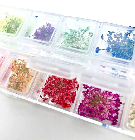 Anil Nail Art Gerçek Kuru Süsleme Çiçekleri (12Li) Protez Tırnak
