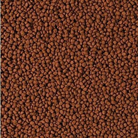 100 Gram Tropical Cichlid Carnivore Meddium Pellet Büyük Granül Balık Yemi