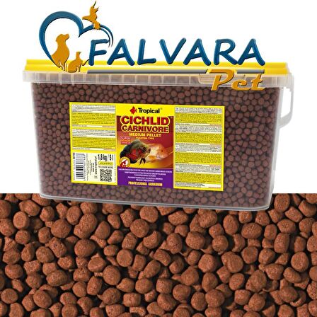 1000 Gram Tropical Cichlid Carnivore Meddium Pellet Büyük Granül Balık Yemi